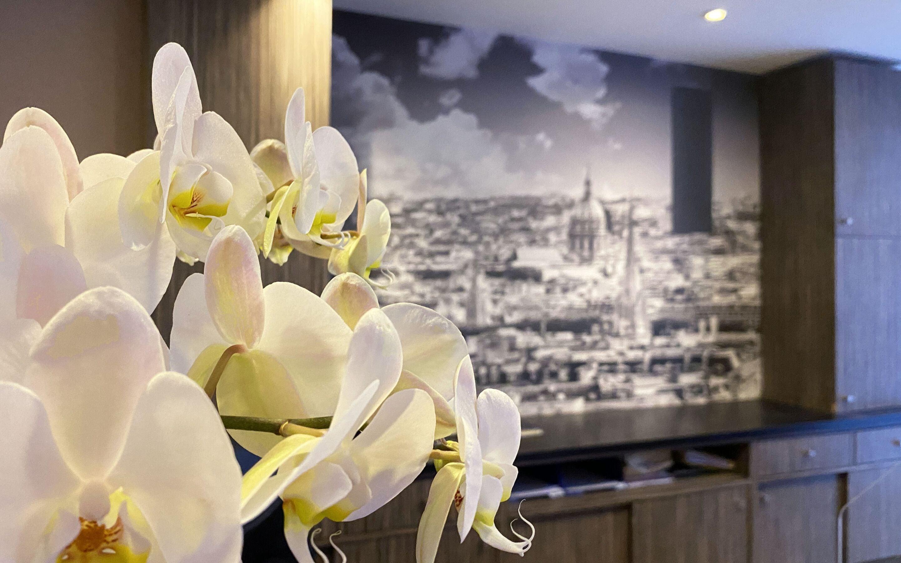 Hotel Timhotel Odessa Montparnasse Paris